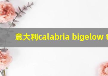 意大利calabria bigelow tea